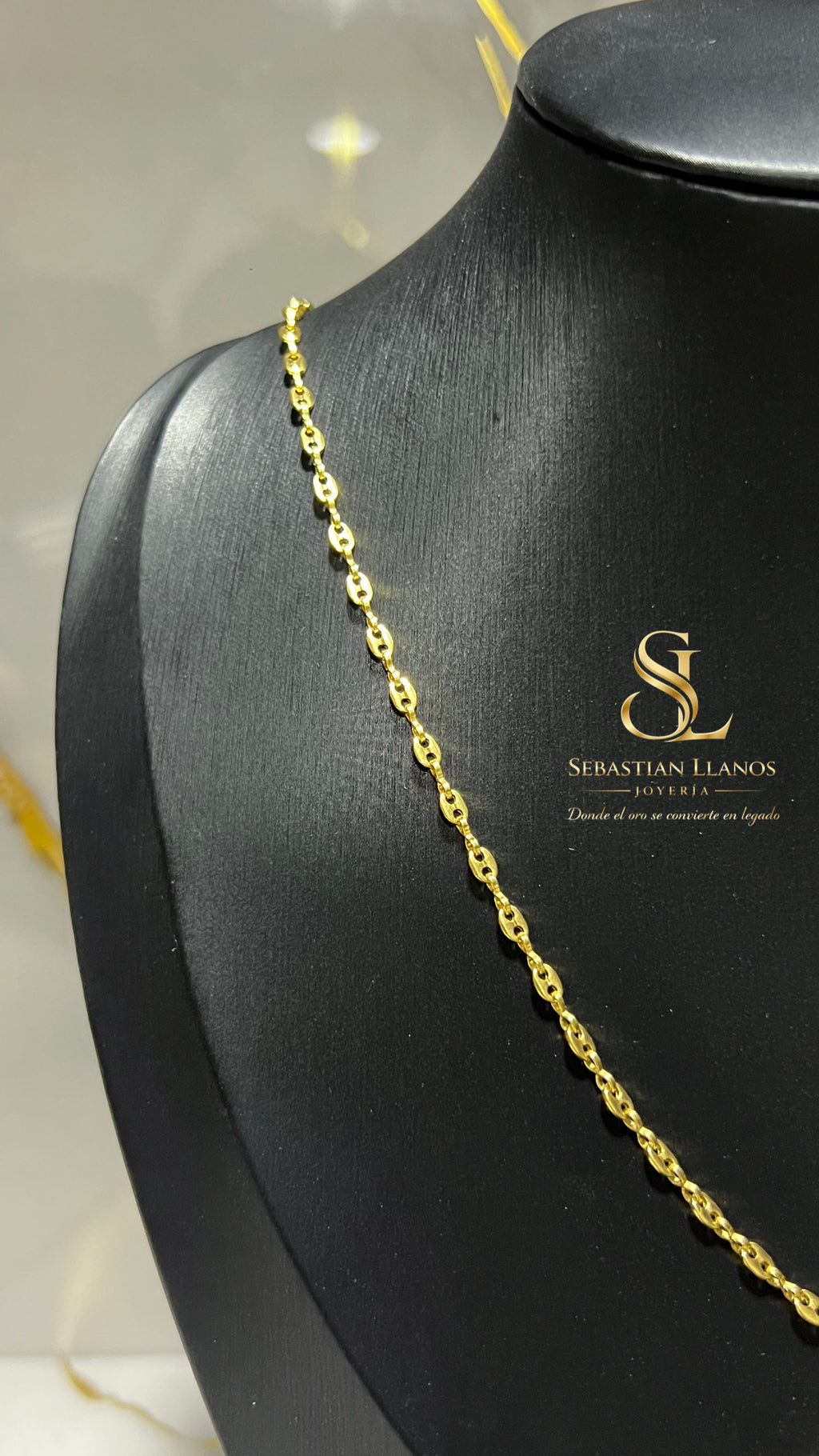 Cadena Gucci Infinito + Dije Avión